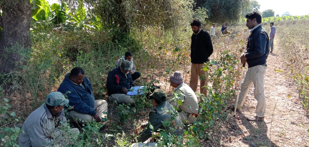 भालू का किया शिकार  ,  शिकारी काटकर ले गए अंग
