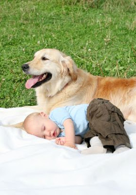 Nosso cão antes da chegada do bebê