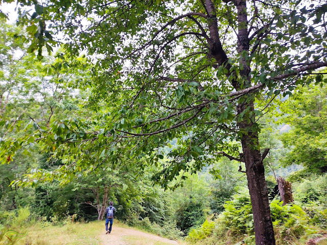 Ruta del Bosque Encantado de Carlac (Valle de Arán)