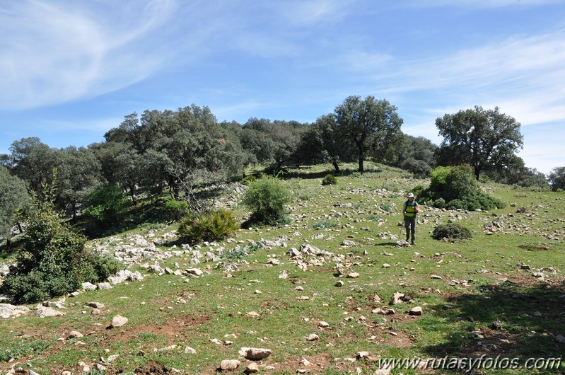 Cerros Albarracinejo-Peñuelas-Ponce-Albarracin y Alto del Puntal