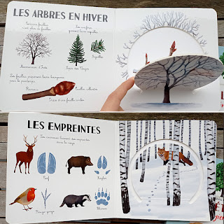 Collection Mon imagier Nature : Le printemps, l'été, l'automne, l'hiver, d'Adeline Ruel, Editions Flammarion Jeunesse Père Castor