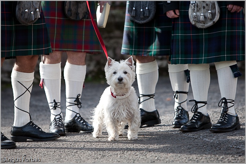 Wedding Photography by Angus Forbes