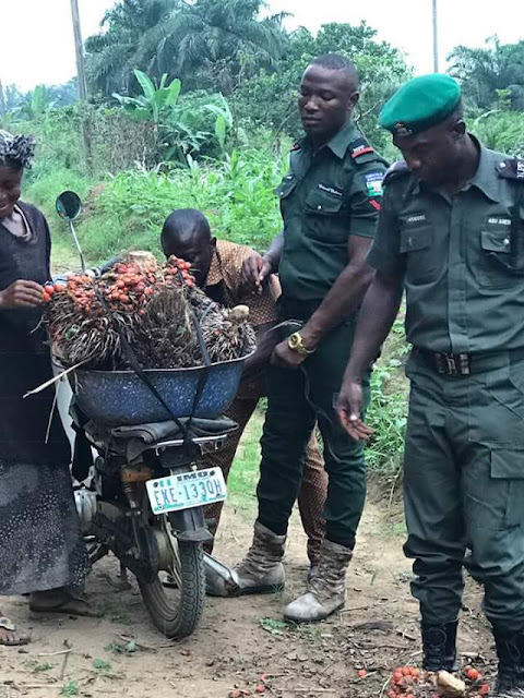  Heartwarming photos of Nigerian policemen helping an old woman tie her palm fruit bunches to a bike after they fell of