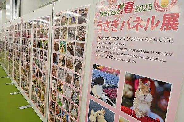 うさぎパネル展