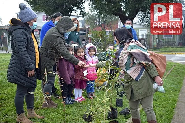 Osorno: Junta de vecinos plantó árboles nativos con jardines infantiles en Villa Lololhue