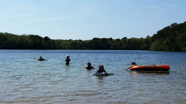 Cape Cod 2015 Trip Continued:  Skaket Beach, Baker's Pond, Outside Wellfleet Preservation Hall, and New England Aquarium --How Did I Get Here? My Amazing Genealogy Journey