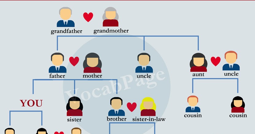 Family vocabulary