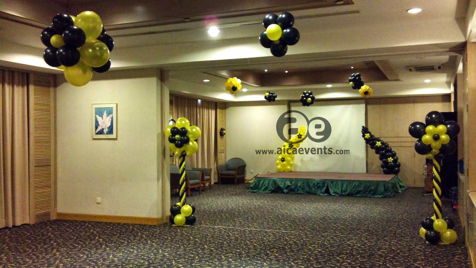 aicaevents Balloon Decorations  for parties