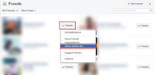 Facebook Friend list