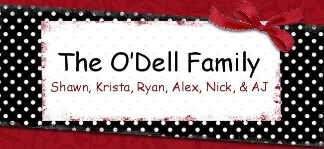 O#39;Dell Family: 2010 Valentine#39;s Day Boxes