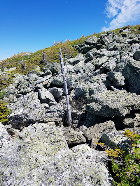 Finding and hiking the original 1860 Mt. Washington Carriage road, now known as the auto road, located in Gorham, New Hampshire at Pinkham Notch.