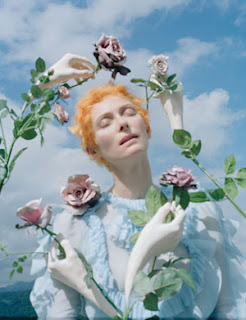 tilda swinton mexico