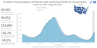 COVID-19 Positive Tests per Day