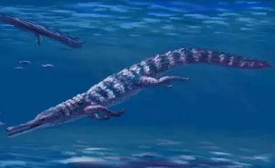 Rhamphosuchus