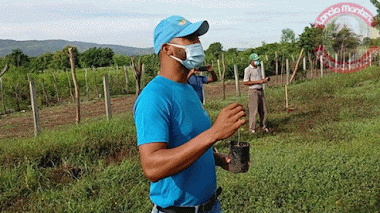 En Elías Piña Ministerio Medio Ambiente inicia mes de la Reforestación