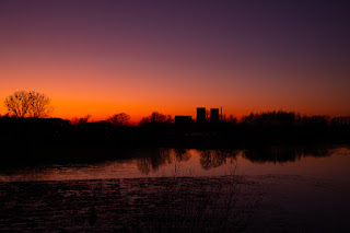 Wildlifefotografie Naturfotografie Lippeaue Sonnenuntergang Olaf Kerber