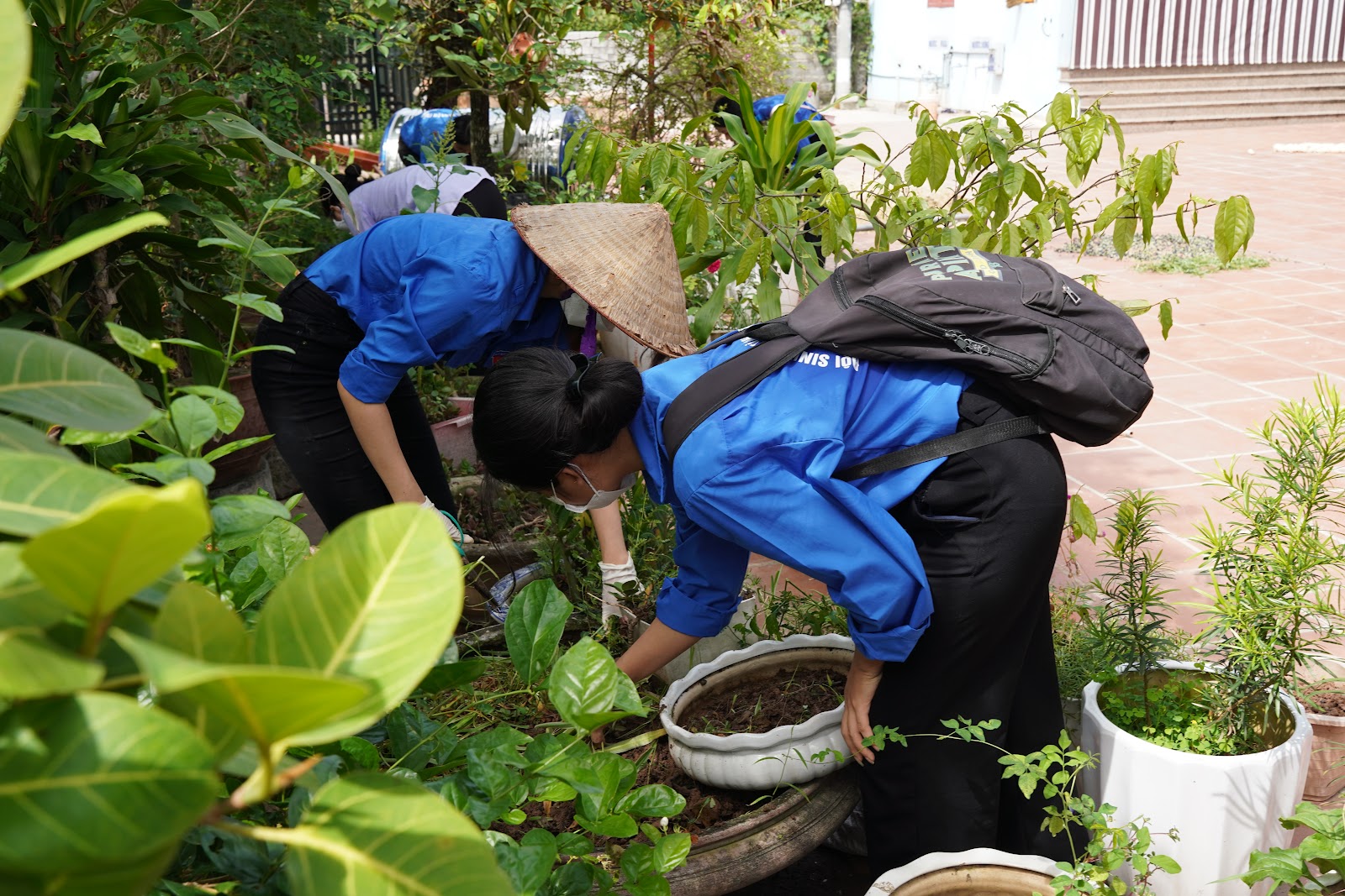 Sinh viên Thanh lịch Học viện Tài chính