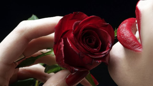 Rose Day ( Valentine's Day 2021 )Shayari Latest Romantic Messages, Shayari, Rose Day Date  