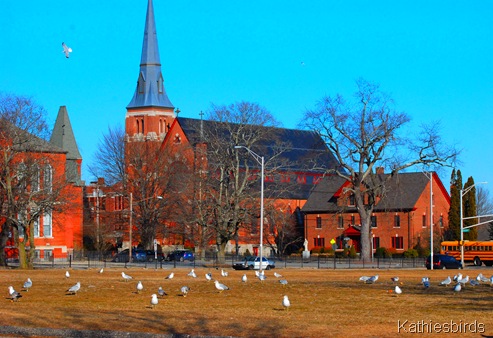1. Willimatic Park-kab