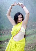 Suhani, hot, navel, photos, in, saree