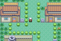 Pokemon FGC Screenshot 01