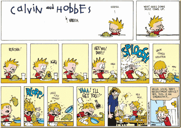 CALVIN AND HOBBES-mgsrv.gocomics.com20101107