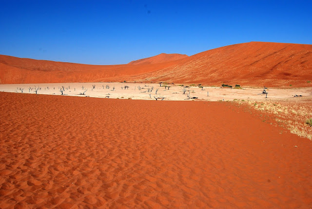 Dead Vlei