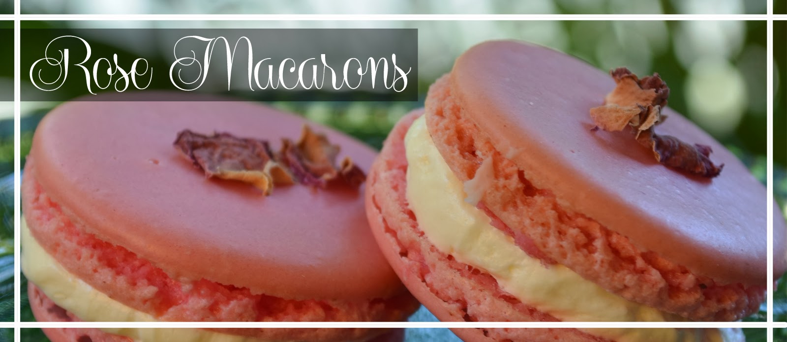 macaron buttercream pink flower food visual baking