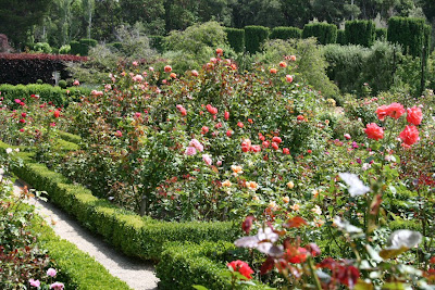 There are several rose gardens