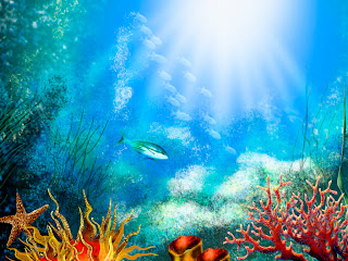 Awan Nano : Misteri haiwan di lautan