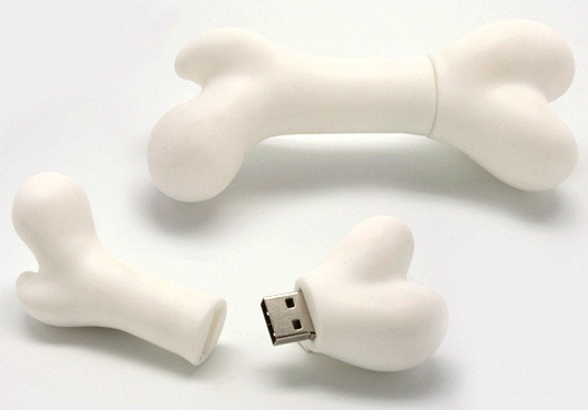 Human Bone USB flash drive