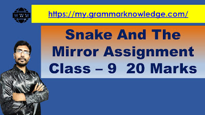 Snake And The Mirror Assignment Class – 9  20 Marks