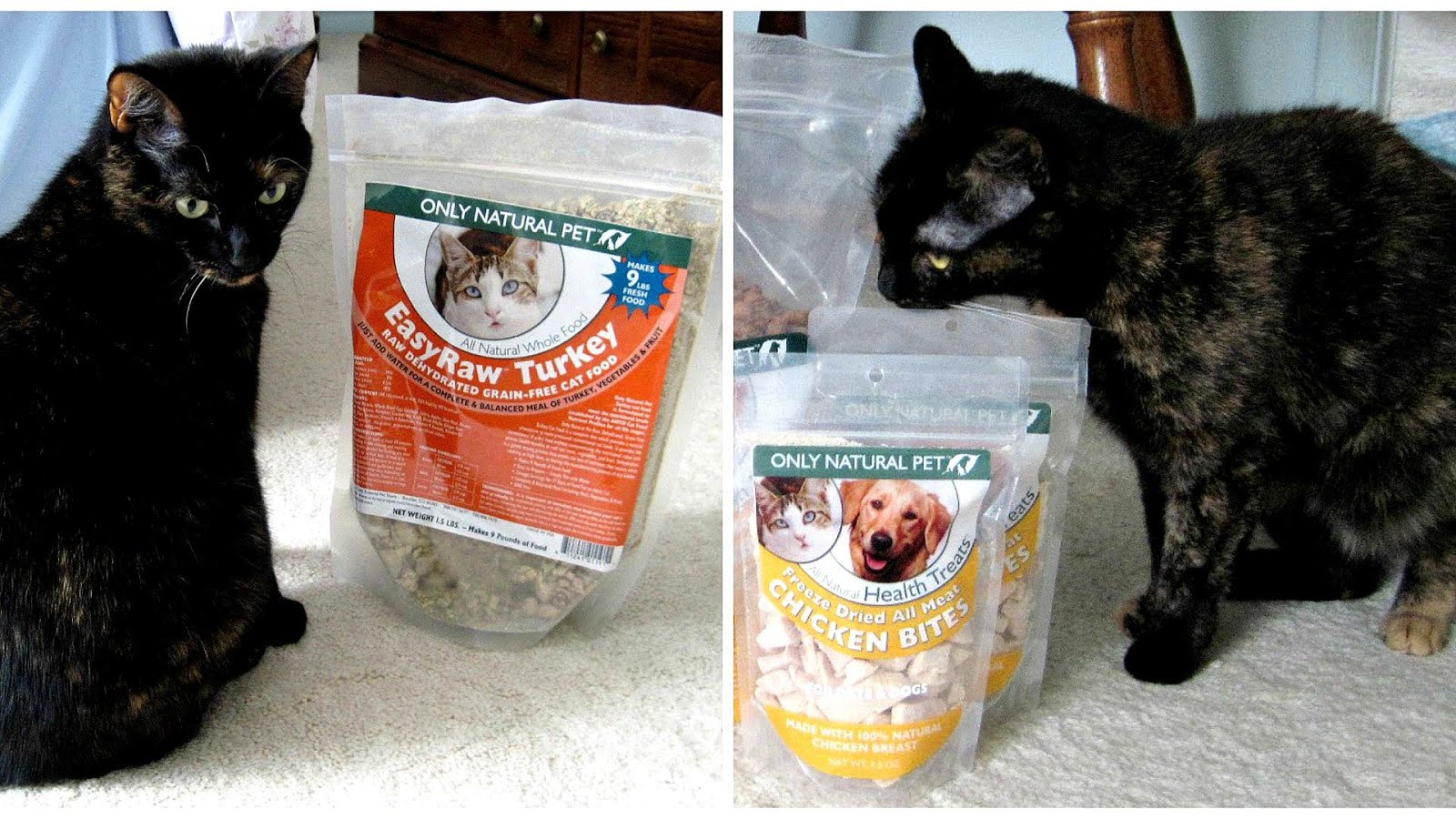 Dry Food For Diabetic Cats - Cat Choices