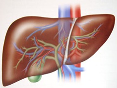 liver_hemodialysis