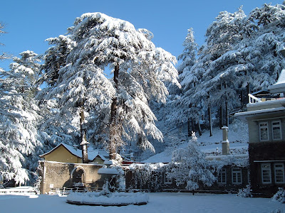 Simla's  Beautiful Image