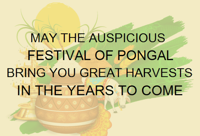 Pongal Festival Greetings in English