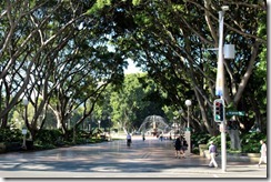 Sydney, Australia 165 (640x427)