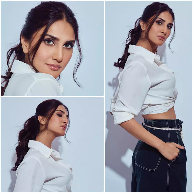 Vaani Kapoor Wavy Ponytail