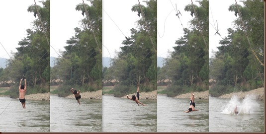 Flying Fox