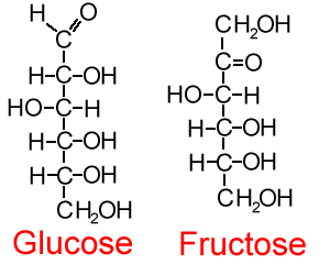 Fungsi