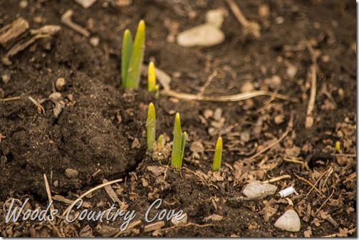 MARCH 2016 (8 of 29)
