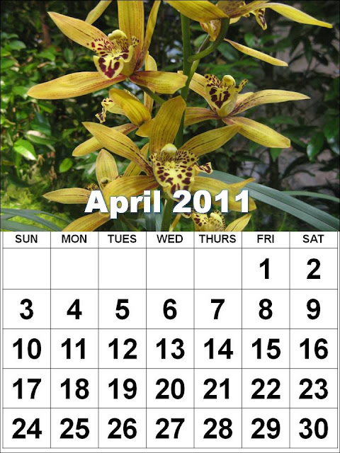 printable monthly calendar april 2011. monthly calendar april 2011.