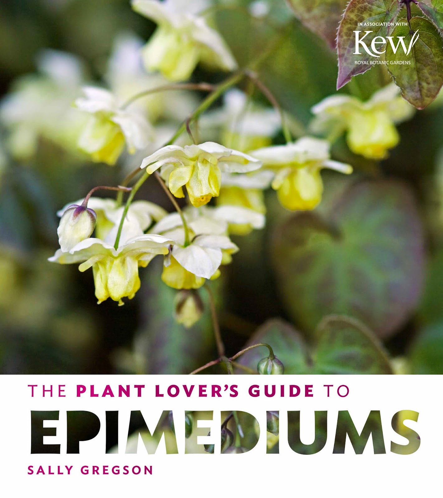 Reading With Teza: Book Review: The Plant Lovers Guide To ...