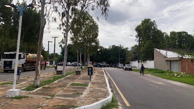 Homem com tornozeleira eletrônica é encontrado morto em área de mata no bairro São José