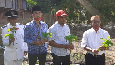 Wawali Acungkan Jempol Warga RT 3 Penatoi, Sulap Lahan Kosong Jadi Kebun Bersama