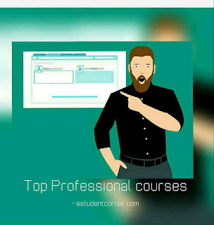 Top 6 interesting  Professional courses after higher secondary or  graduation for the students of arts