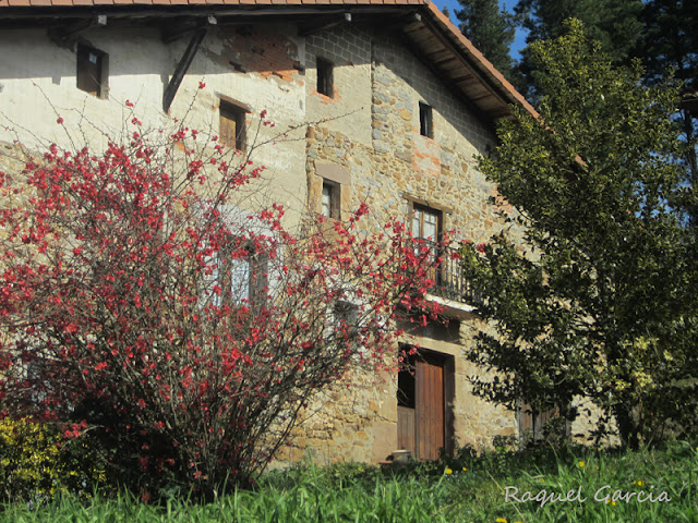 Barrio Isasi en Orozko (Bizkaia)