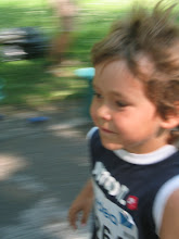 Minimaran 2007