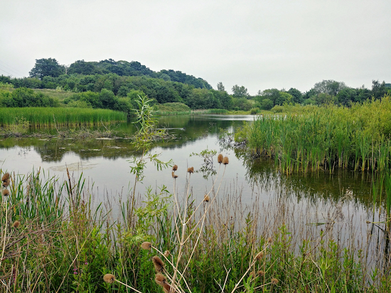 Willows Lakes