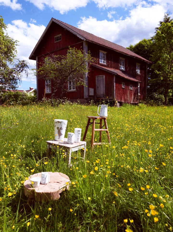 Hoshiikamo Times Scandinavian Stories 北欧の自然なテーブル Scandinavian Natural Table